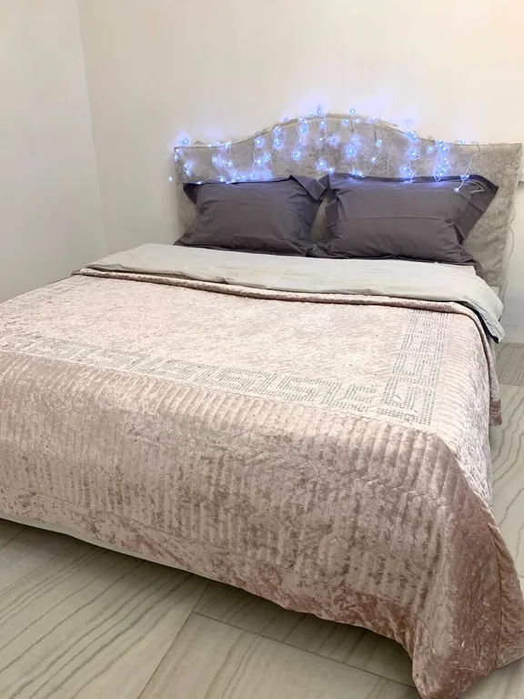 Шикарная квартира в центре города