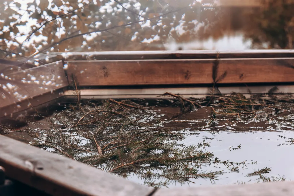 Дом на холме с сибирским чаном