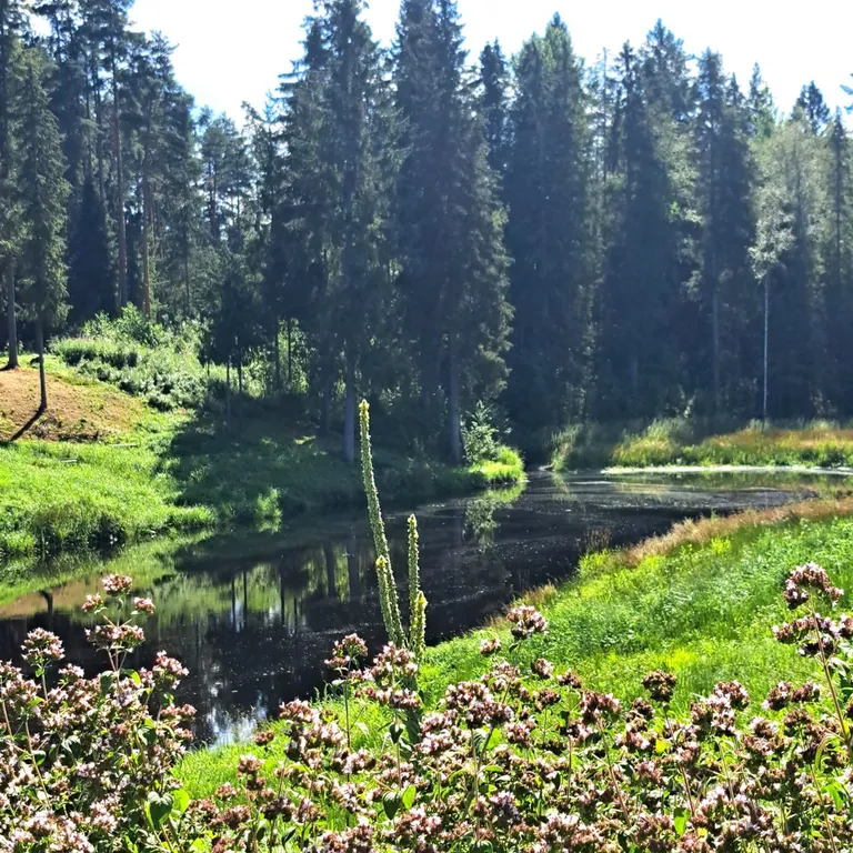Коттедж Коттедж Эко-уют для двоих — Сясьстрой