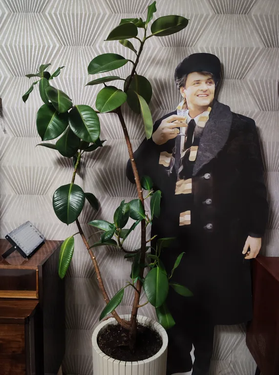 У Ипполита- квартира в ретростиле