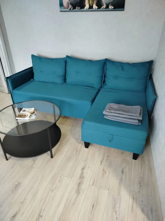 Уютная квартира в самом центре на набережной с видом на парк победы