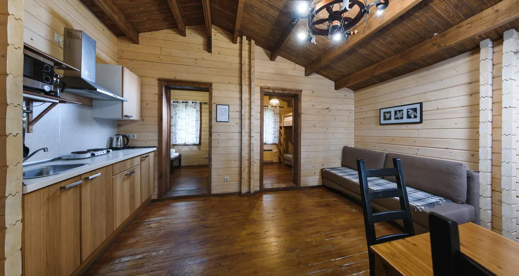 Коттедж 3-комнатный Дом — Запорожское