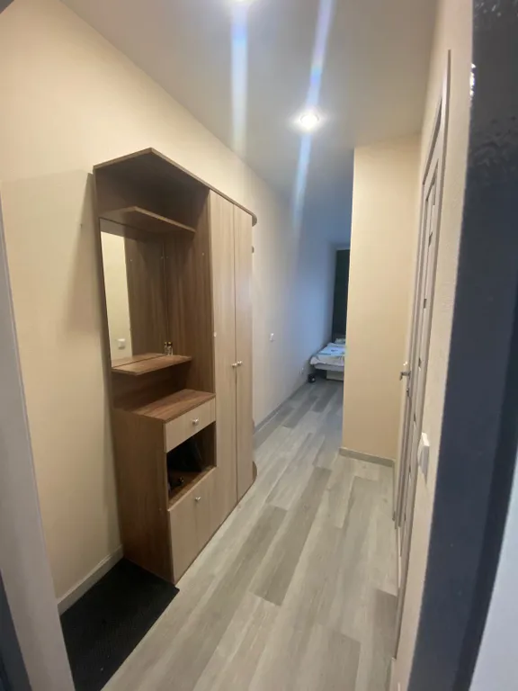 Зеленая студия