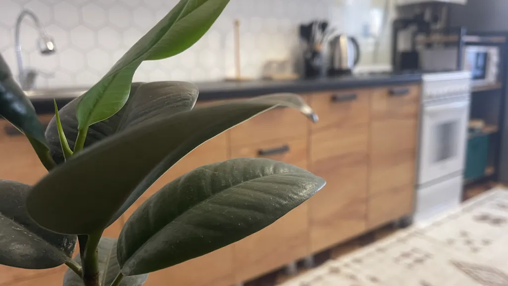 По-домашнему уютная, чистая и комфортная квартира ждет своих гостей