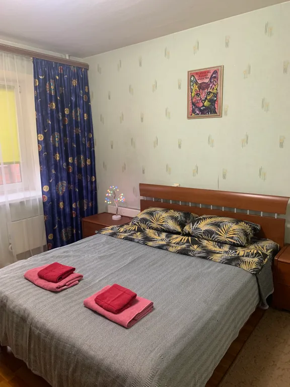 Дом с видом на Ледовый дворец