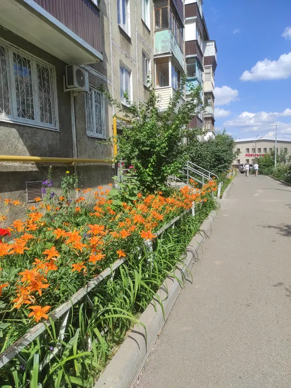Комфортная квартира в центре города
