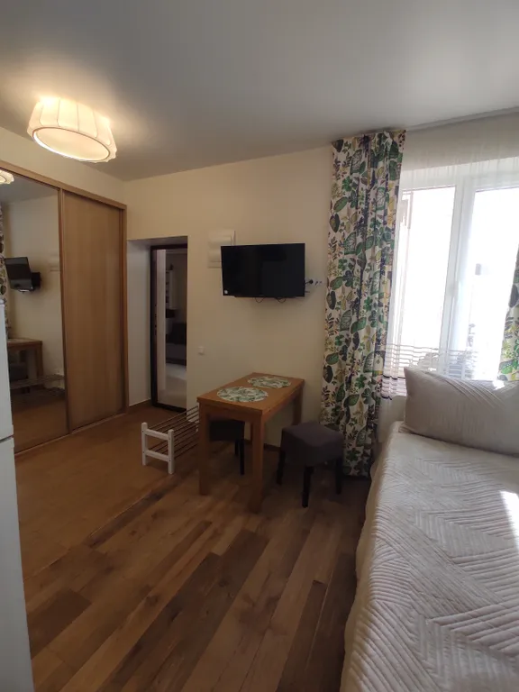 Квартира 1-комнатная Квартира — Сириус