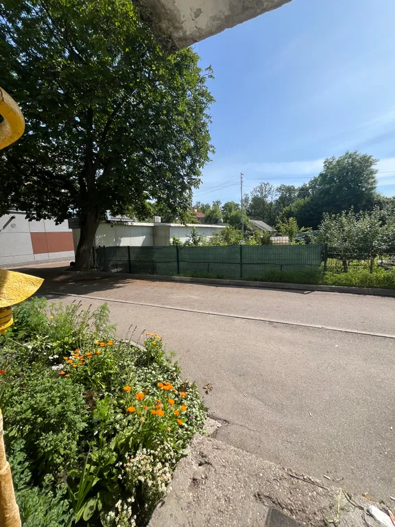 Квартира Просторная квартира недалеко от моря — Зеленоградск