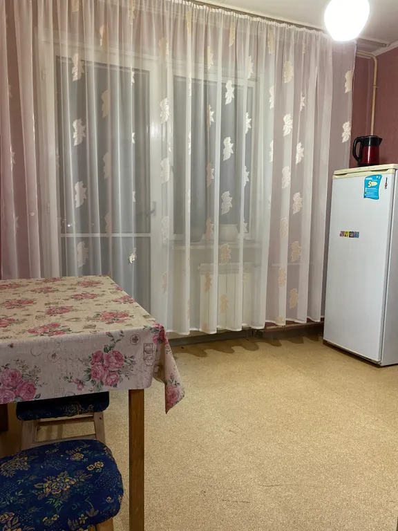 1-комнатная уютная квартира на Куйбышева (Хольцман)