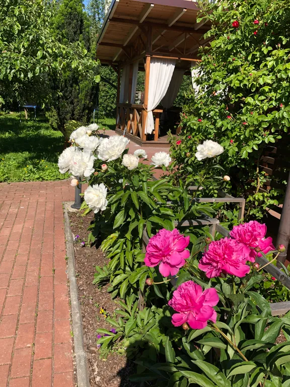 Коттедж Коттедж Уютные апартаменты с сауной — Калининград