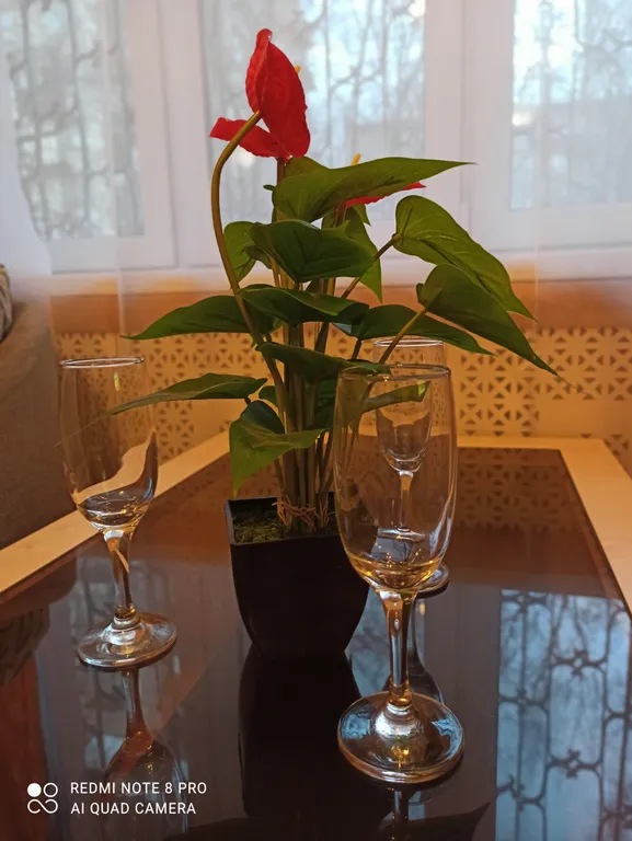 Однушка в спальном районе