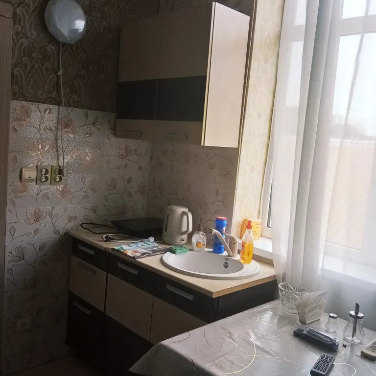 Квартира-студия в центре города