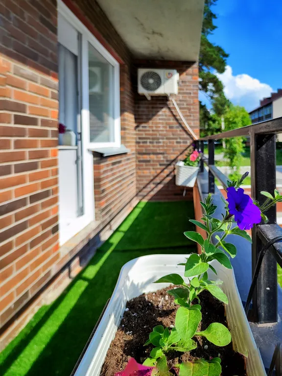 Квартира в сосновом бору у моря Обского