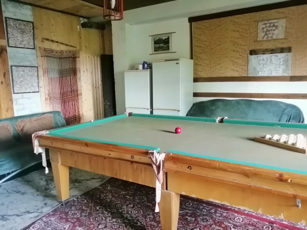 Дом с баней, бильярдом и бассейном