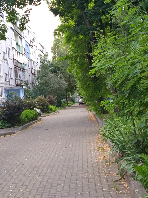 Уютная квартира в центре Калининграда