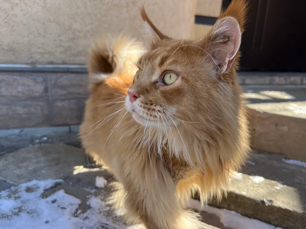 Квартира Квартира с парковкой. Джума мечеть. — Махачкала