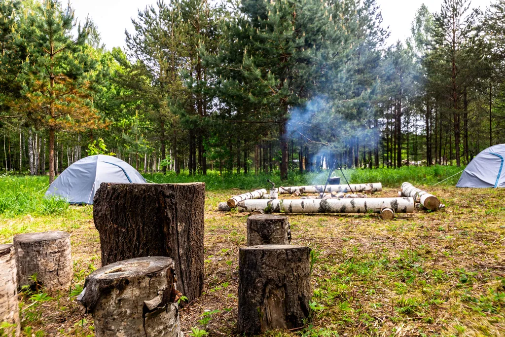 Коттедж Дом в лесу с купелью фурако и мангальной зоной (до 4-х чел) — Глубокое (Каменногорское г/п)