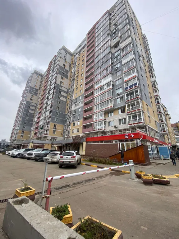 Квартира 1-комнатная квартира в деловом и историческом центре города с новогодней елкой в новом доме — Нижний Новгород