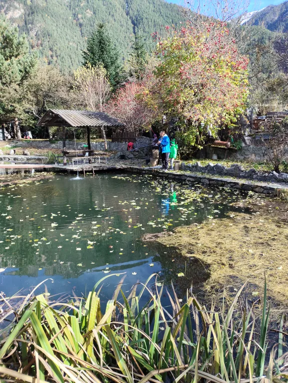 Коттедж Дом с баней и озером — Теберда