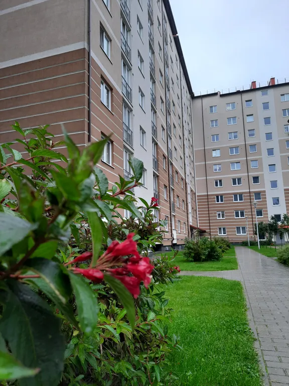 Квартира Современная квартира с паркингом — Калининград