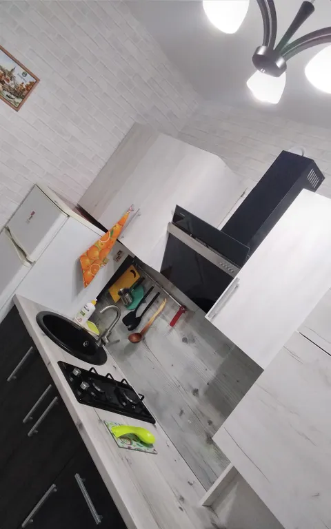 Квартира 1-комнатная Квартира — Светлогорск