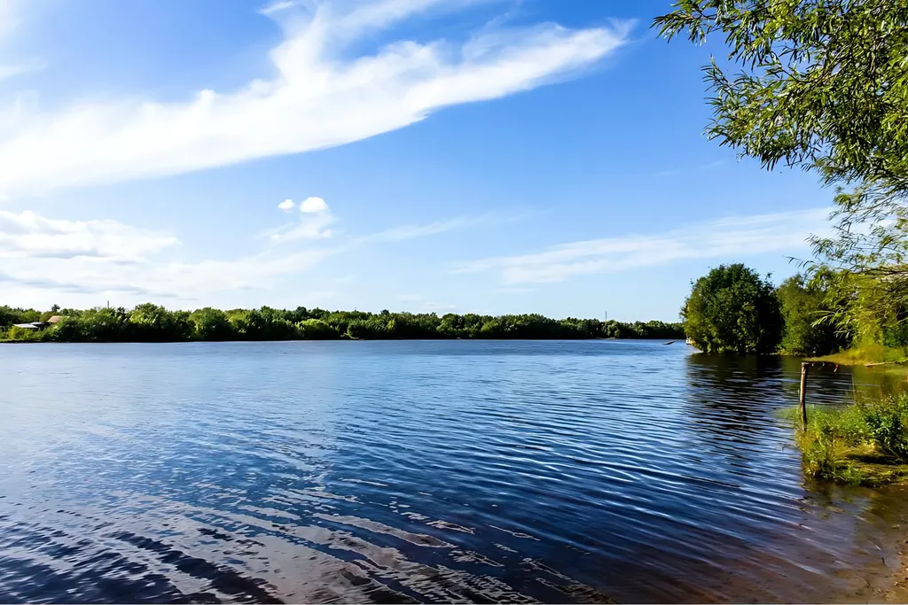 Коттедж на берегу реки