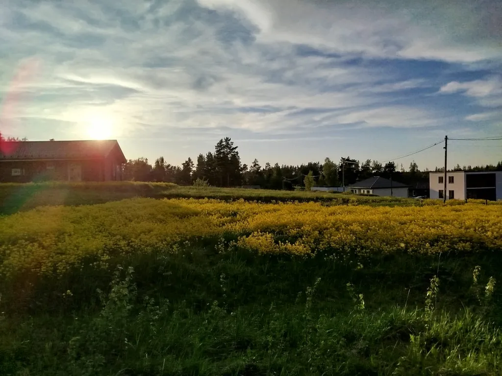 Коттедж у леса Scandi Sweet Home