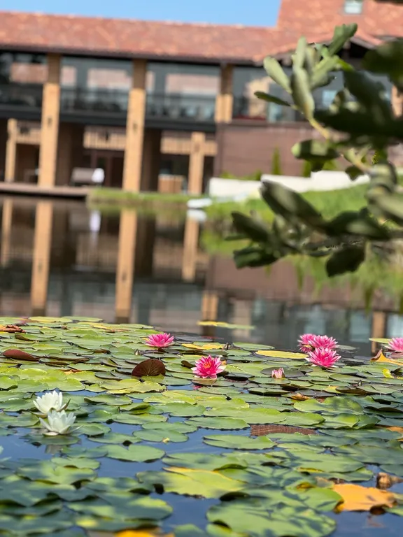 Уютный коттедж в городе со своим озером на территории