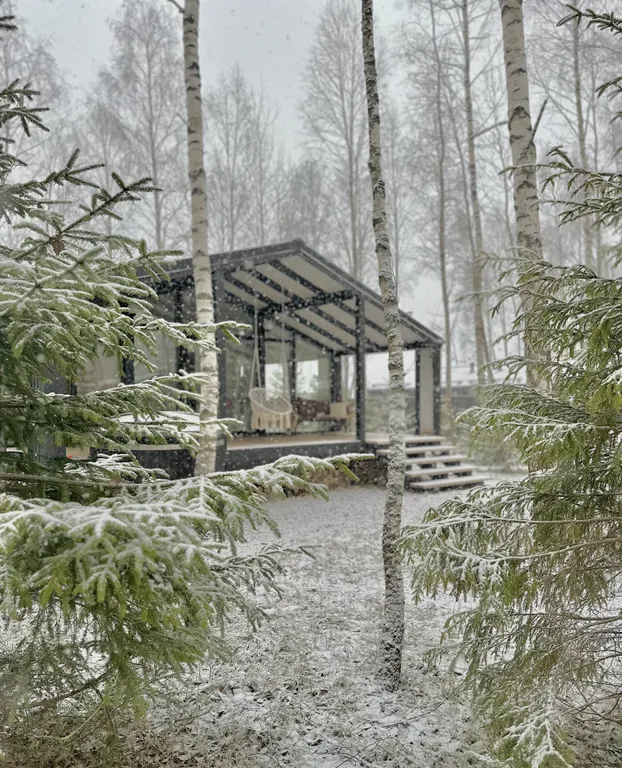 Дом с панорамной сауной, купелью на закрытом лесном участке