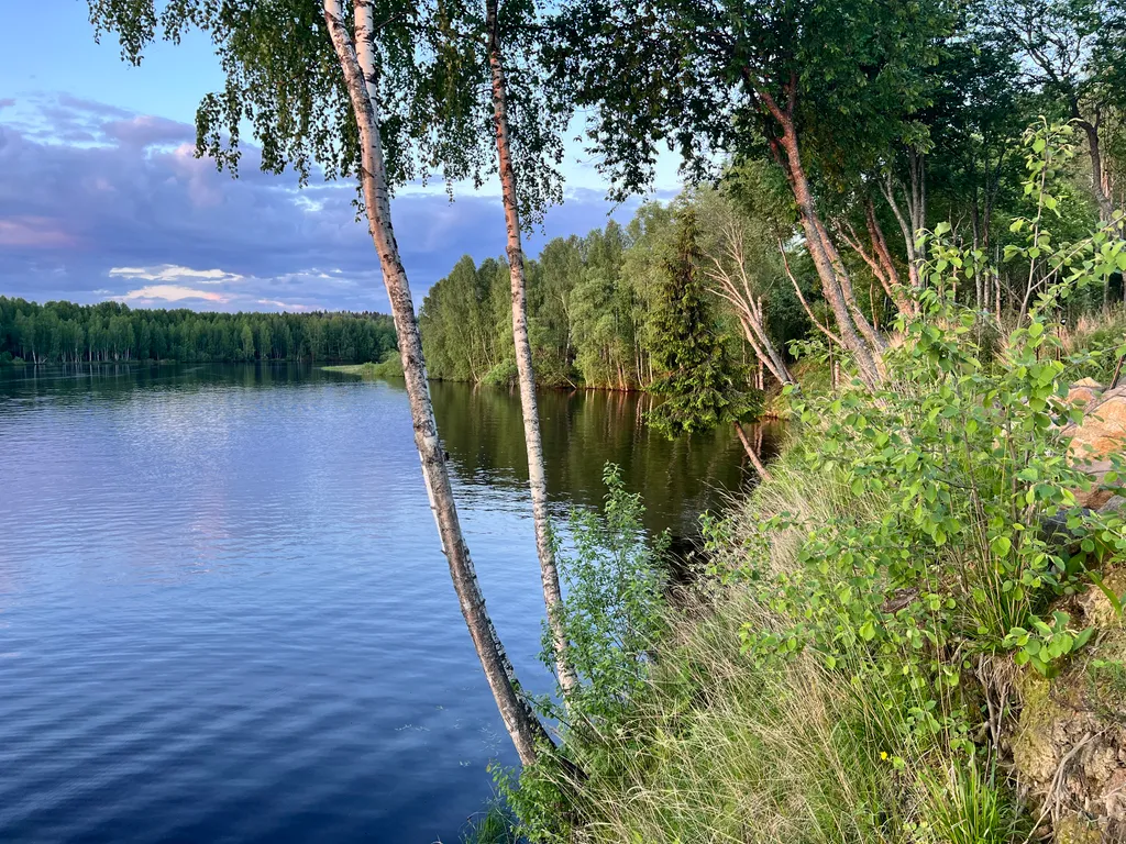 Уютный дом в лесном массиве недалеко от реки