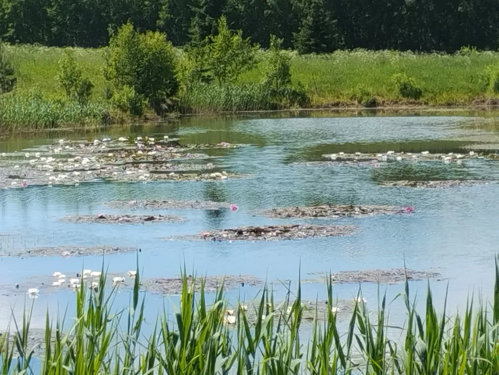Дом на берегу сказочного озера