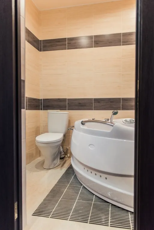 Студия с камином и джакузи