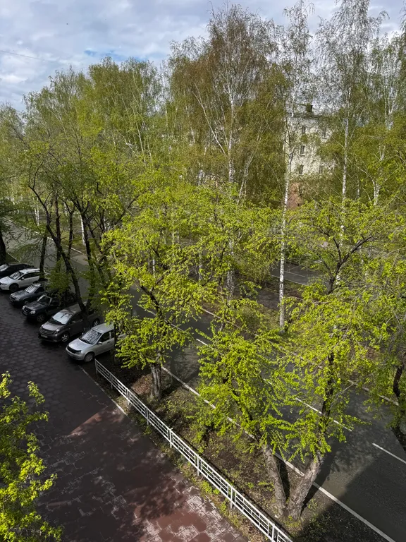 Квартира Тагильская лагуна