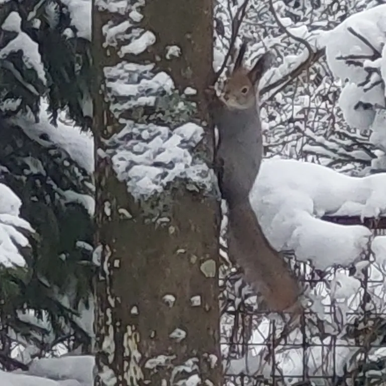 Новый год в Подмосковье. Идеальный дом с баней и чаном