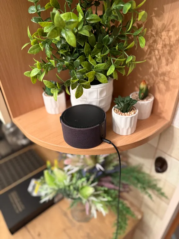 Квартира 1-комнатная Квартира — Зеленоградск