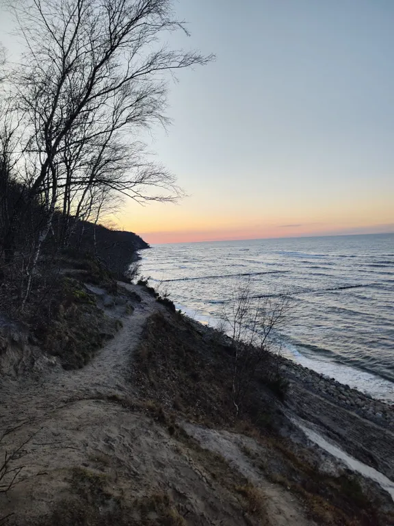 Квартира Квартира Уютная студия — Светлогорск