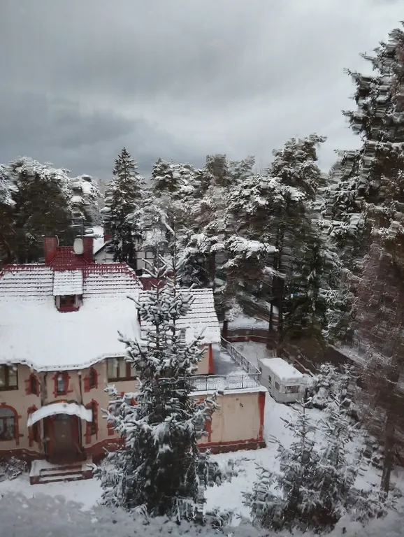 Квартира Квартира Юлма, тихий центр среди сосен — Светлогорск