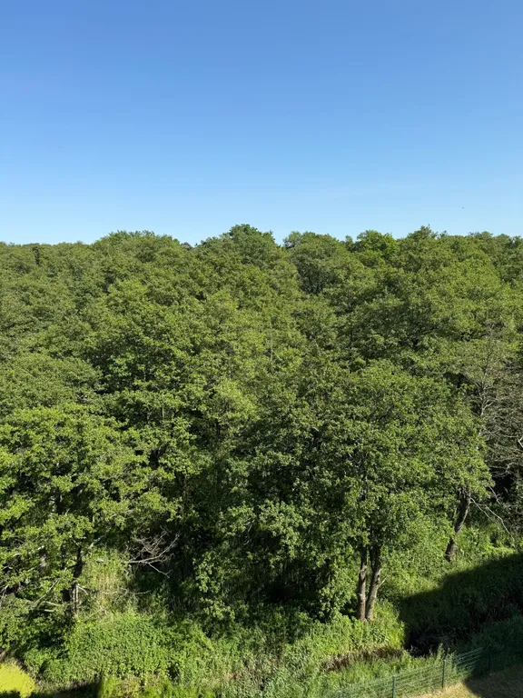 Светлая квартира в новом доме ЖК Созвездие