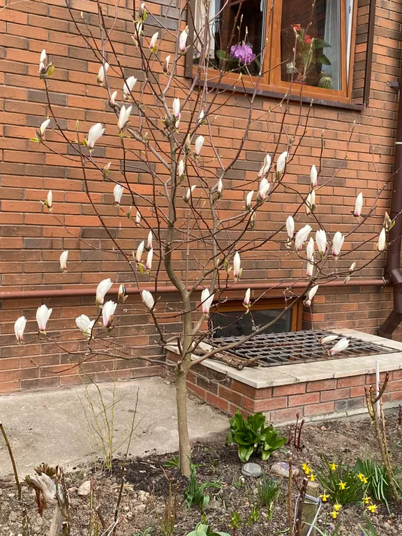 Двухкомнатная квартира у моря