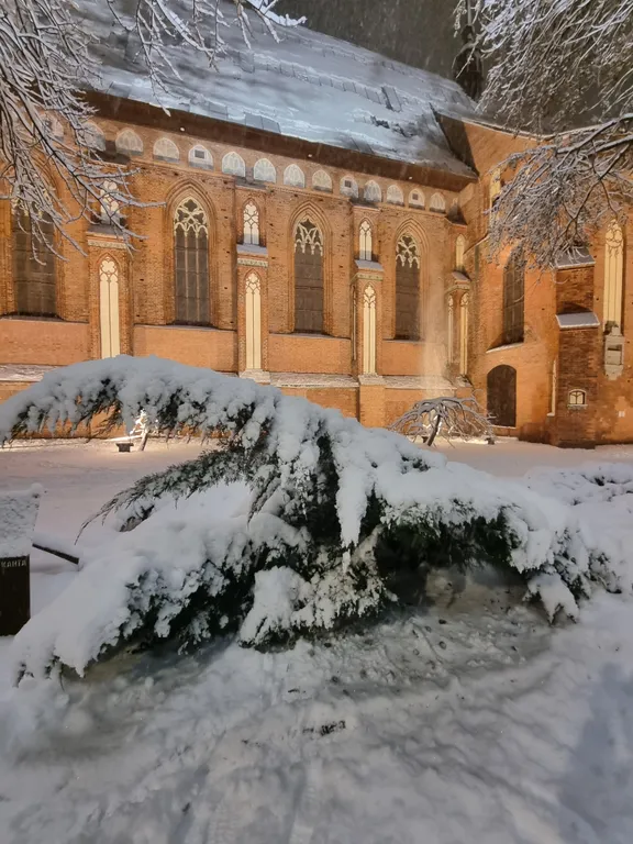 Квартира Уютная квартира в 7 минутах хотьбы до Рыбной деревни и Южного вокзала — Калининград