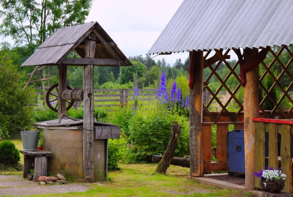 Усадьба Синий кот и лаванда