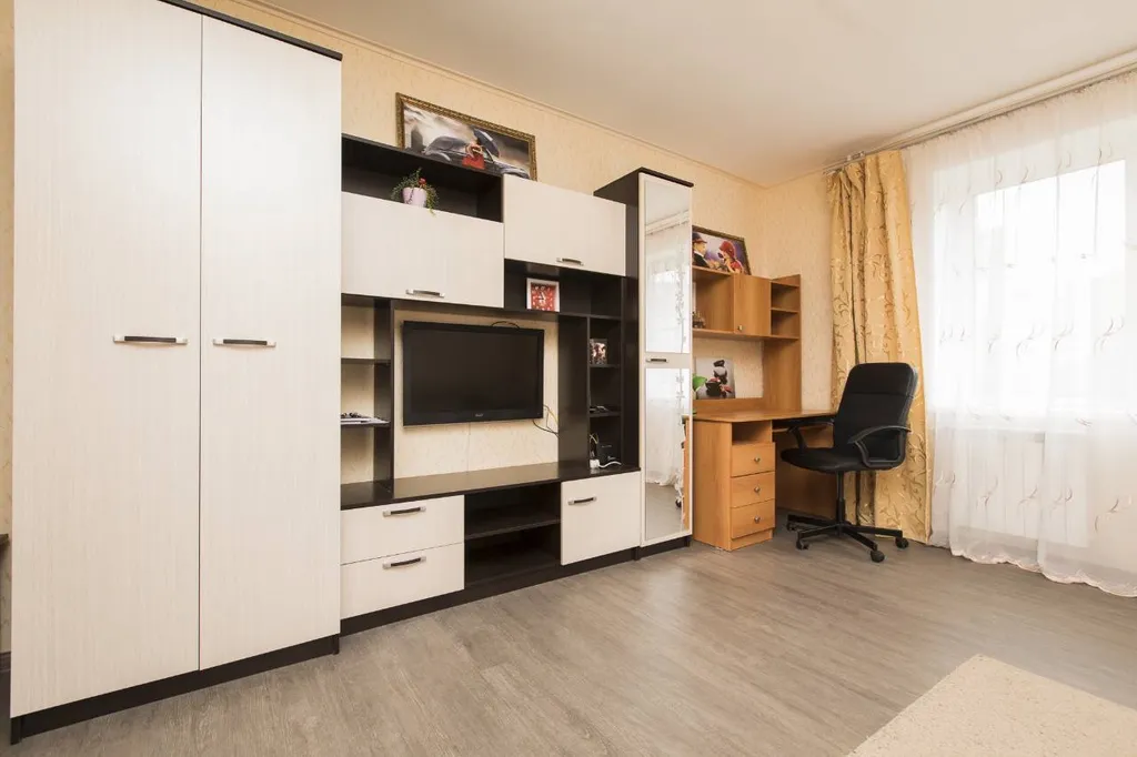 1-комнатная квартира в деловом и историческом центре города с новогодней елкой