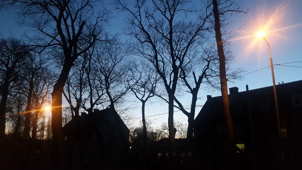 Гостевой домик Листья травы в исторической части города