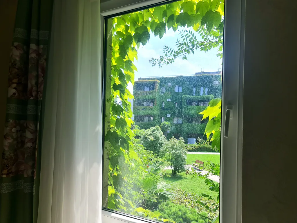 Зелёный уголок у моря