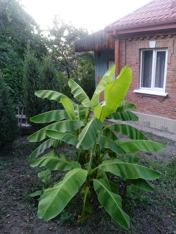 Уютный дом с видом на горы