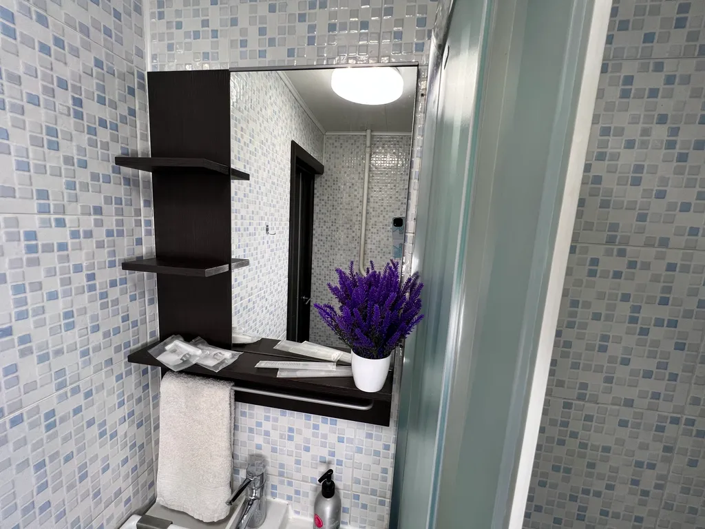 1-комнатная квартира в деловом и историческом центре города с новогодней елкой