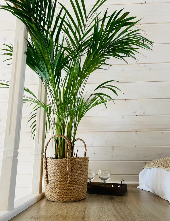 Треугольный дом