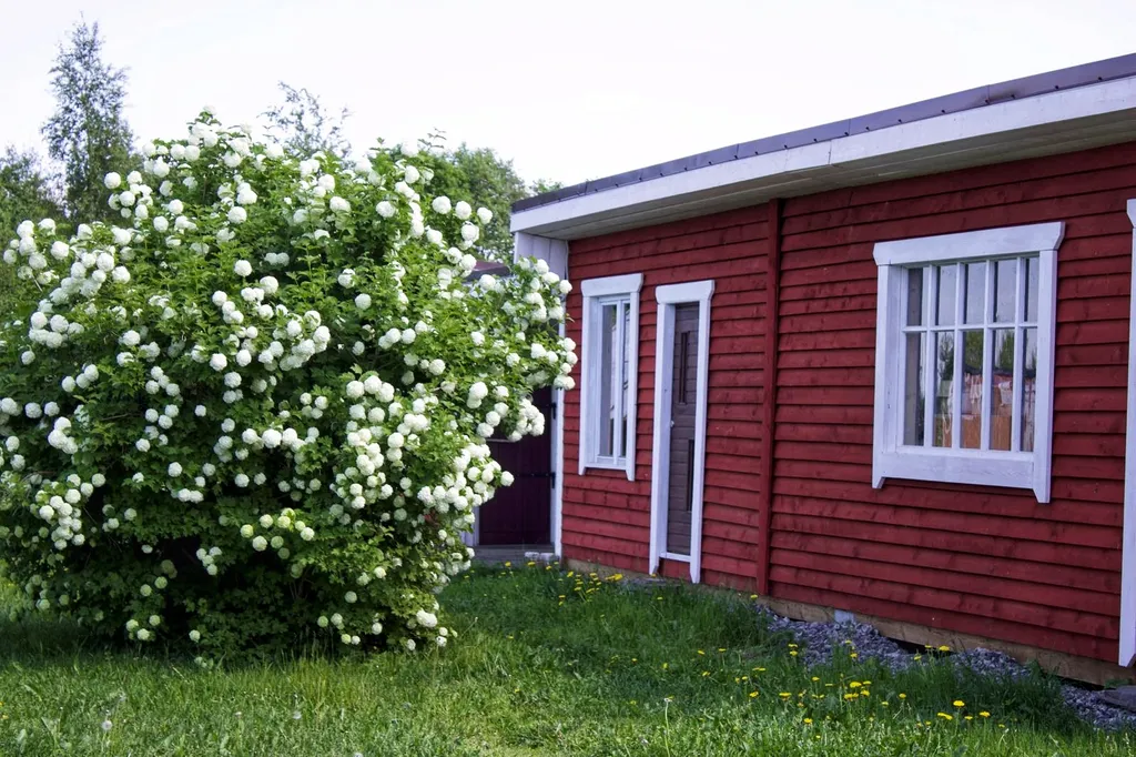 Дом с качелями