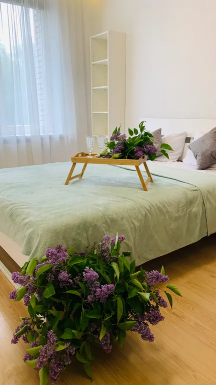 Квартира Квартира Евро двушка у МЦД 3 — Подолино