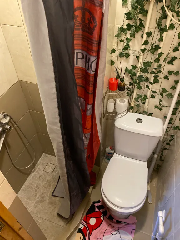 В тихом центре уютная, светлая, чистая однокомнатная квартира Лондон